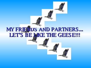 MY FRIENDS AND PARTNERS... LET’S BE LIKE THE GEESE!!! 