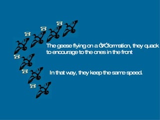 g g g g g g The geese flying on a “V” formation, they quack to encourage to the ones in the front . In that way, they keep the same speed. 