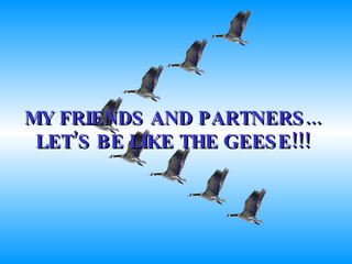 MY FRIENDS AND PARTNERS... LET’S BE LIKE THE GEESE!!! 