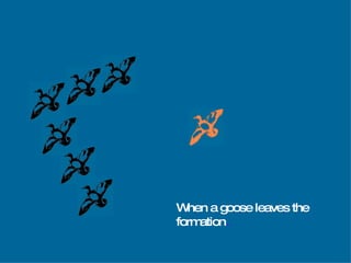 When a goose leaves the  formation .. 