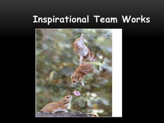 Inspirational Team Works
 