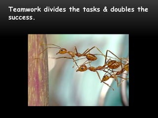 Teamwork divides the tasks & doubles the
success.
 