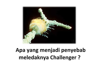Apa yang menjadi penyebab
meledaknya Challenger ?
 