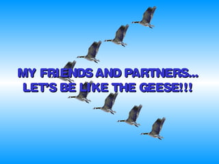 MY FRIENDS AND PARTNERS...MY FRIENDS AND PARTNERS...
LET’S BE LIKE THE GEESE!!!LET’S BE LIKE THE GEESE!!!
 