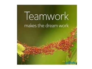 Teamwork