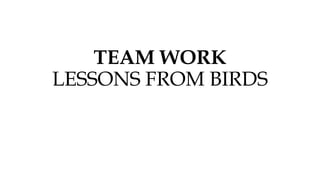 TEAM WORK
LESSONS FROM BIRDS
 