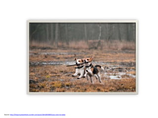 Source: http://thepursuitaesthetic.tumblr.com/post/18418640805/you-and-me-babe