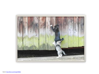 Source: http://favim.com/image/40066/