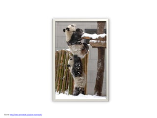 Source: http://www.animaltalk.us/panda-teamwork/