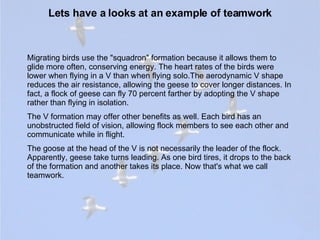 Lets have a looks at an example of teamwork Migrating birds use the "squadron" formation because it allows them to glide more often, conserving energy. The heart rates of the birds were lower when flying in a V than when flying solo.The aerodynamic V shape reduces the air resistance, allowing the geese to cover longer distances. In fact, a flock of geese can fly 70 percent farther by adopting the V shape rather than flying in isolation.  The V formation may offer other benefits as well. Each bird has an unobstructed field of vision, allowing flock members to see each other and communicate while in flight.  The goose at the head of the V is not necessarily the leader of the flock. Apparently, geese take turns leading. As one bird tires, it drops to the back of the formation and another takes its place. Now that's what we call teamwork.  