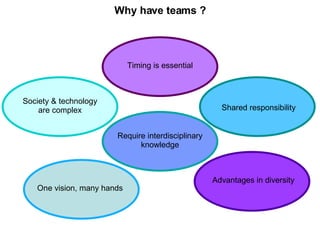 Why have teams ? Society & technology are complex Require interdisciplinary knowledge Advantages in diversity One vision, many hands Shared responsibility Timing is essential 