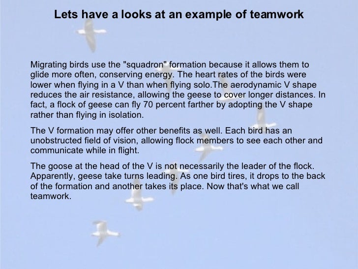 example of team work