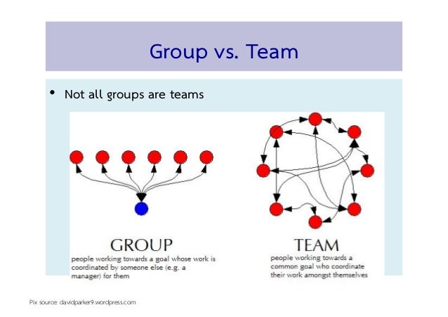 Group vs team essays