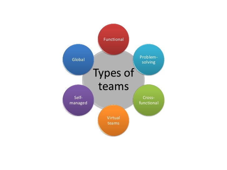 4 Types Of Team Players