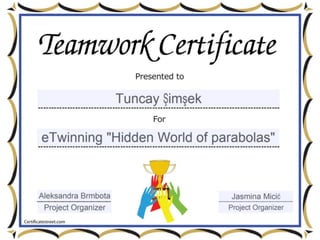 Teamwork certificate
