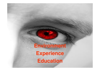 Environment
 Experience
 Education
 