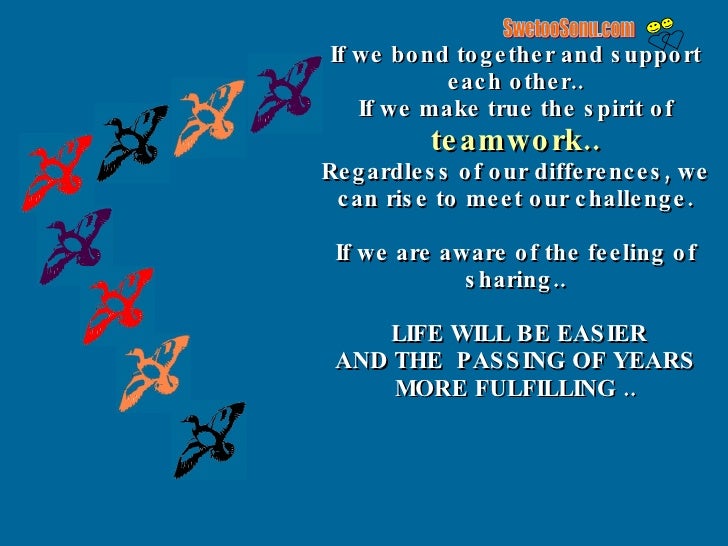 Teamwork Lesson From Geese