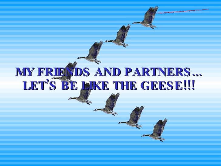 Teamwork Lesson From Geese