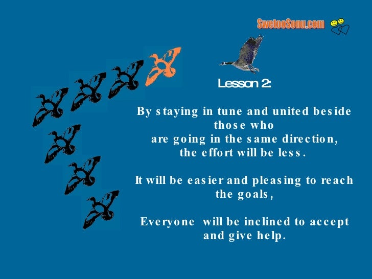 Teamwork Lesson From Geese