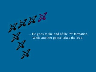 ... He goe s to the e nd of the “V” forma tion.
    While a nothe r goos e ta ke s the le a d.
 