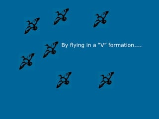 By flying in a “V” formation....
 