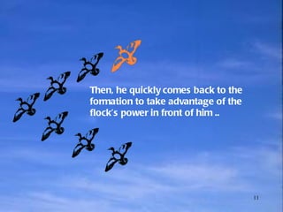 Then, he quickly comes back to the formation to take advantage of the  flock’s power in front of him   .. 