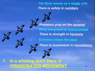 1. In a winning team there is C OORDINATED  M OVEMENT The flock moves as a s ingle  unit.  Wing movement is s ynchronized   Everyone keeps the p ace There is safety in n umbers There is strength in h armony There is momentum in c onsistency   Predators prey on the i solated 
