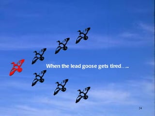 When the lead goose gets tired….. 