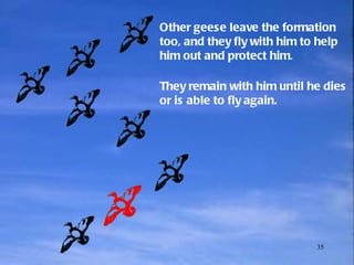 Other   geese leave the formation too, and they fly with him to help him out and protect him .  They remain with him until he dies or is able to fly again.  