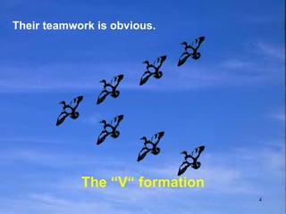 The “V“ formation Their teamwork is obvious. 