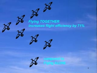 Flying TOGETHER  increases flight efficiency by 71% compared to Flying ALONE 