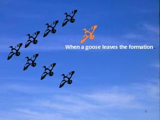 When a goose leaves the formation .. 