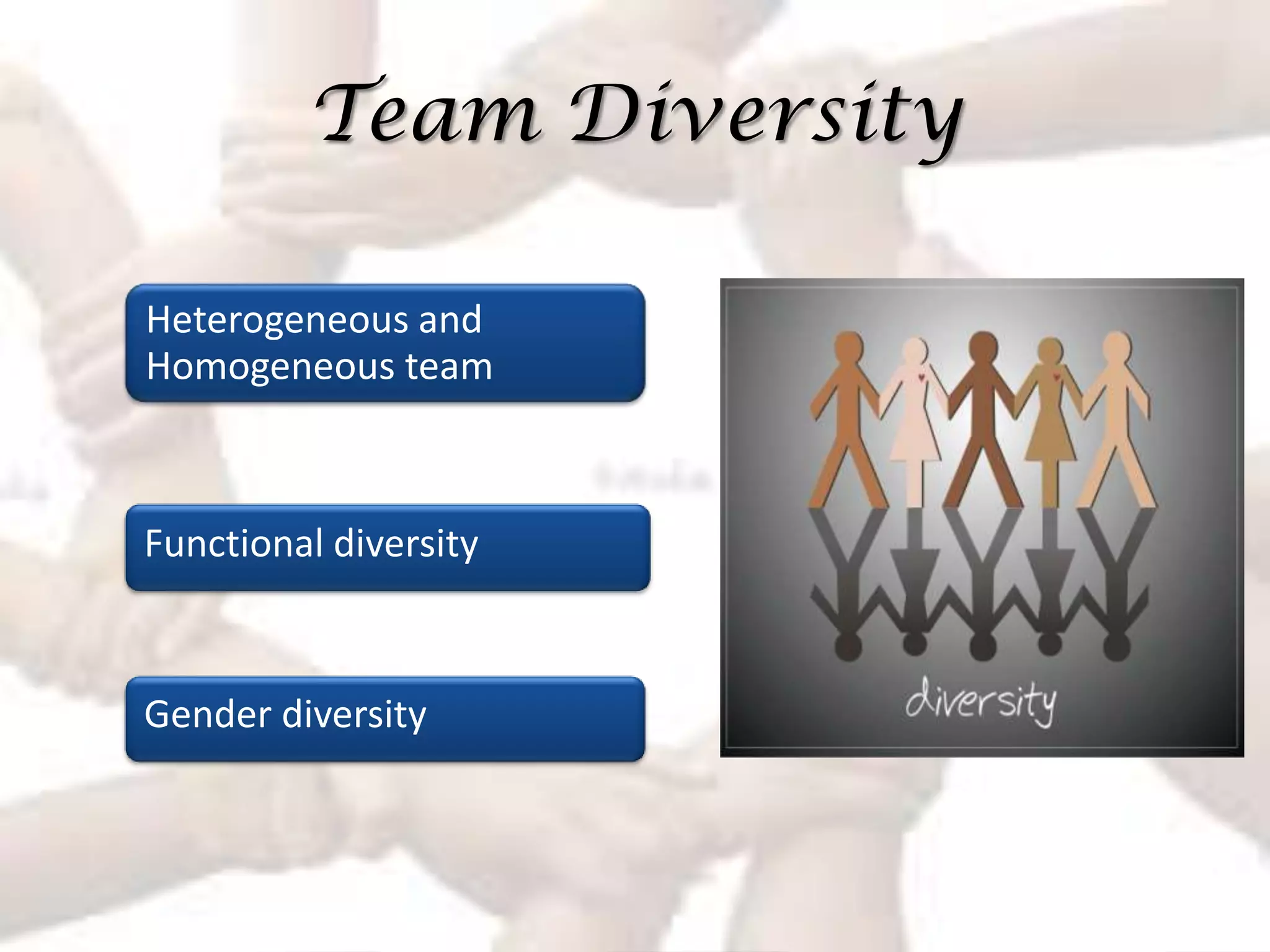Team Diversity

Heterogeneous and
Homogeneous team



Functional diversity



Gender diversity
 