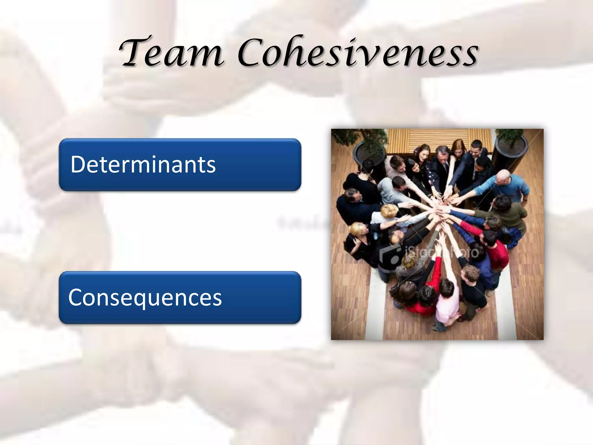 Team Cohesiveness

Determinants




Consequences
 