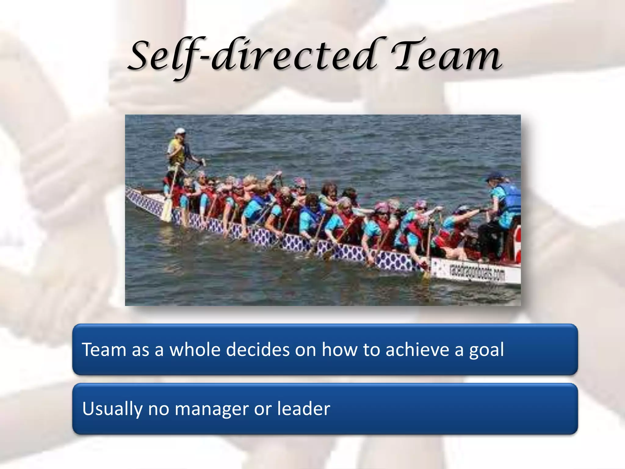 Self-directed Team




Team as a whole decides on how to achieve a goal

Usually no manager or leader
 
