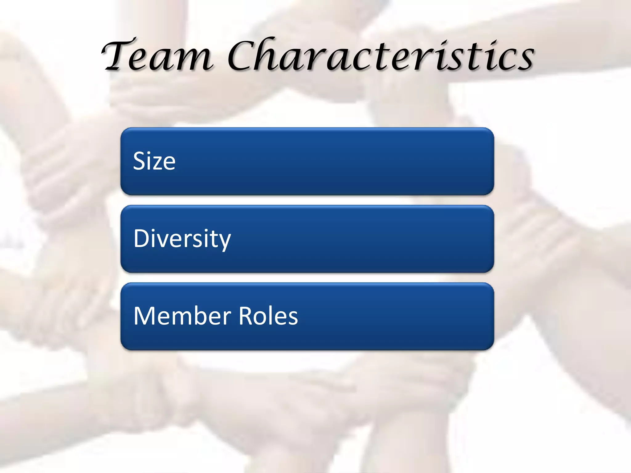 Team Characteristics

 Size

 Diversity

 Member Roles
 