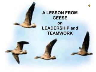 A LESSON FROM GEESEonLEADERSHIP andTEAMWORK 