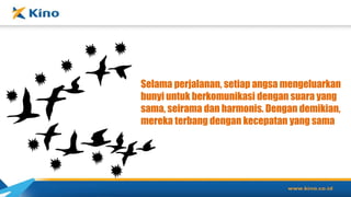 Selama perjalanan, setiap angsa mengeluarkan
bunyi untuk berkomunikasi dengan suara yang
sama, seirama dan harmonis. Dengan demikian,
mereka terbang dengan kecepatan yang sama
 