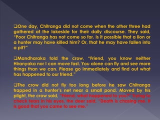 One day, Chitranga did not come when the other three had
gathered at the lakeside for their daily discourse. They said,
“Poor Chitranga has not come so far. Is it possible that a lion or
a hunter may have killed him? Or, that he may have fallen into
a pit?”
Mandharaka told the crow, “Friend, you know neither
Hiranyaka nor I can move fast. You alone can fly and see more
things than we can. Please go immediately and find out what
has happened to our friend.”
The crow did not fly too long before he saw Chitranga
trapped in a hunter’s net near a small pond. Moved by his
plight, the crow said, “Friend, what happened to you?” Trying to
check tears in his eyes, the deer said, “Death is chasing me. It
is good that you came to see me.”
 