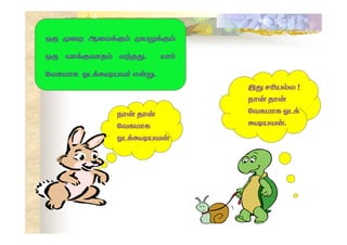 





   
   
  



 