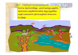 l
 
 

 