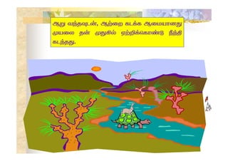     
    

 