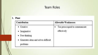 Team Roles
 