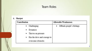 Team Roles
 
