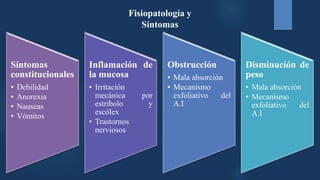 Síntomas
constitucionales
• Debilidad
• Anorexia
• Nauseas
• Vómitos
Inflamación de
la mucosa
• Irritación
mecánica por
estribolo y
escólex
• Trastornos
nerviosos
Obstrucción
• Mala absorción
• Mecanismo
exfoliativo del
A.I
Disminución de
peso
• Mala absorción
• Mecanismo
exfoliativo del
A.I
Fisiopatología y
Síntomas
 