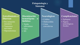 Estreñimiento o
Diarreas
• Por irritación
mecánica
• Trastornos
nerviosos
• Hiponatremias
Diseminación
hematógena o
linfática
• Tejido
subcutáneo
• Ojos
• SN
Neurológicos
• Cefalea
• Hidrocefalia
• Crisis
convulsivas
Complicaciones
• Epilepsia
• Signos
neurológicos
focales
Fisiopatología y
Síntomas
 