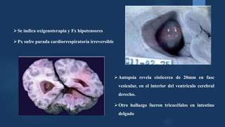 Autopsia revela cisticerco de 20mm en fase
vesicular, en el interior del ventrículo cerebral
derecho.
Otro hallazgo fueron tricocéfalos en intestino
delgado
Se indica oxigenoterapia y Fx hipotensores
Px sufre parada cardiorrespiratoria irreversible
 