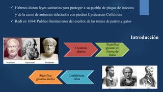 Gusanos
planos
Significa
gusano en
forma de
listón
Lumbricus
latus
Significa
gusano ancho
 Hebreos dictan leyes sanitarias para proteger a su pueblo de plagas de insectos
y de la carne de animales infectados con piedras Cysticercus Cellulosae
 Redi en 1684: Publico ilustraciones del escólex de las tenias de perros y gatos
Introducción
 