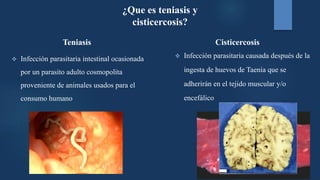 ¿Que es teniasis y
cisticercosis?
Teniasis
 Infección parasitaria intestinal ocasionada
por un parasito adulto cosmopolita
proveniente de animales usados para el
consumo humano
Cisticercosis
 Infección parasitaria causada después de la
ingesta de huevos de Taenia que se
adherirán en el tejido muscular y/o
encefálico
 