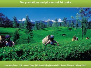 Tea plantations and pluckers of Sri Lanka




Learning Team -2B |Akash Tyagi |Akshay Kalley|Anya Felix| Pooja Sharma |Vinay Potti
 